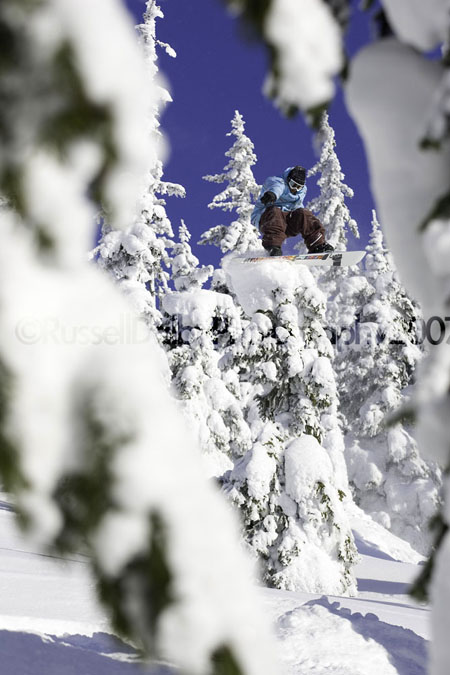 wolle nelsontrees photo by russel dalby